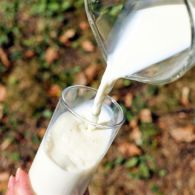 Bedanya Susu UHT, Pasteurisasi, Susu Bubuk, dan Susu Kental Manis. Mana yang Paling Baik?