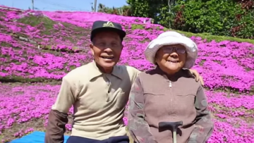 Mengharukan! Ladang Bunga di Jepang Jadi Bukti Cinta Seorang Suami Untuk Istrinya yang Buta