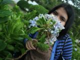 Tita_trisna