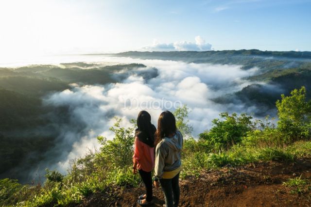 Sungai kabut di kebun buah mangunan