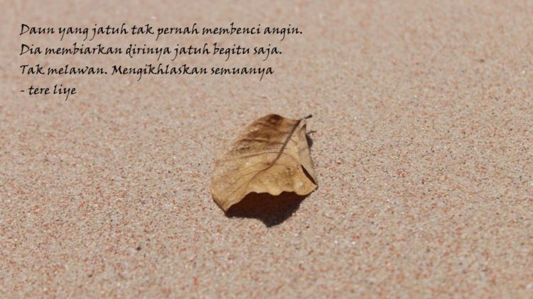 6 Quotes Tere Liye Ini Akan Membuatmu Bangkit dari Patah 