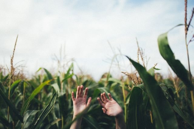 Kuliah di Pertanian Nggak Semudah Main 'Harvest Moon'. Apalagi Pas Cari Kerja, Beuh!
