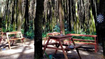 Daftar Wisata Alam di Bogor Selain Puncak yang Menarik