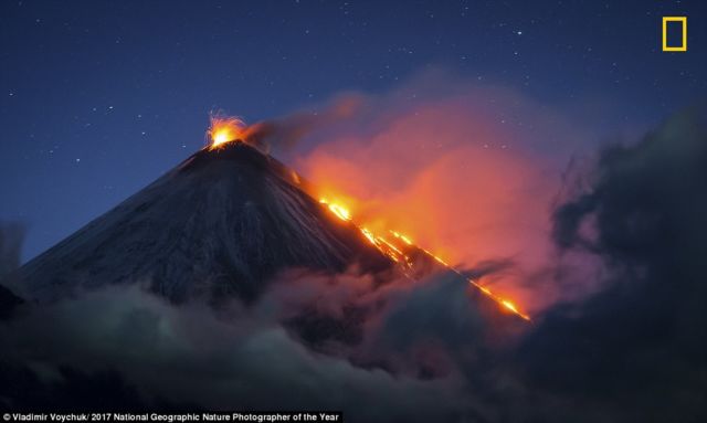 12 Foto Menakjubkan dari Kompetisi Foto National Geographic. Kualitasnya Level Dunia!