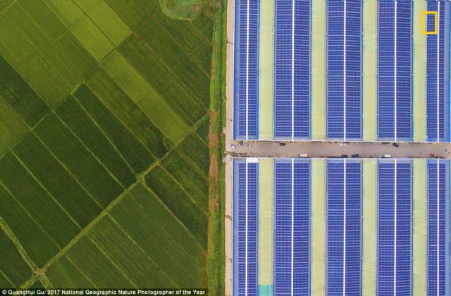 12 Foto Menakjubkan dari Kompetisi Foto National Geographic. Kualitasnya Level Dunia!