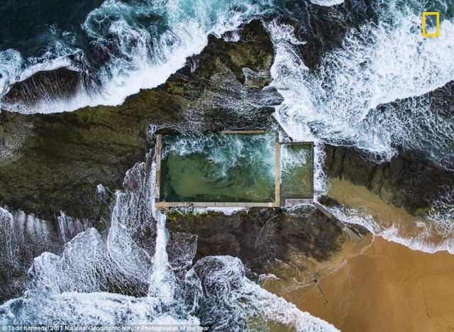 12 Foto Menakjubkan dari Kompetisi Foto National Geographic. Kualitasnya Level Dunia!