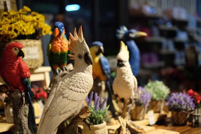 Bird & Bromelia Paviliun Bandung