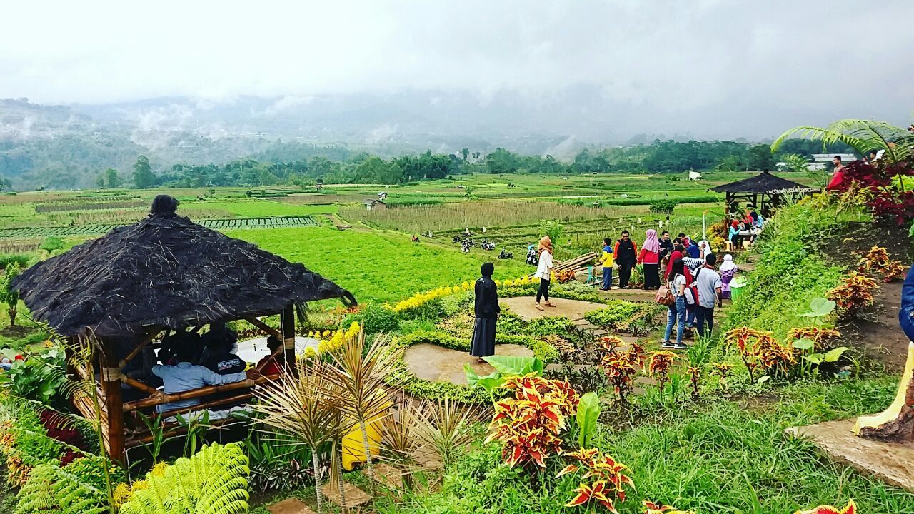 Hal Yang Kamu Harus Tahu Kalau Desamu Menjadi Desa Wisata