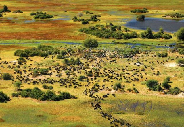 10 Situs Warisan Dunia UNESCO yang Jarang Kita Tahu. Padahal Keren Banget!