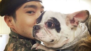 Bugsy, Anjing Siwon Suju Gigit CEO Restoran Hingga Meninggal