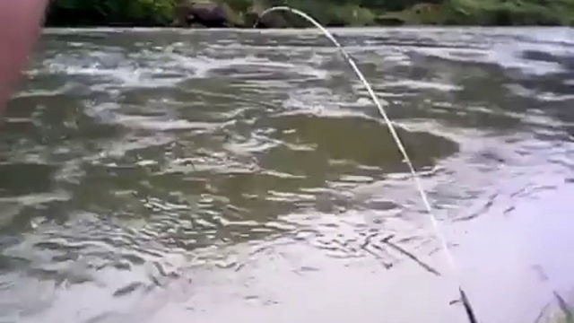 mancing