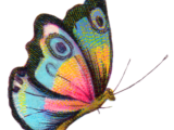 BetterFly