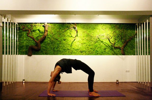 Dinding Lumut di Ruang Yoga