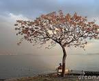 ariesadhar.com