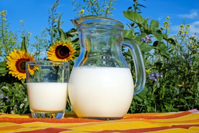 Susu Murni