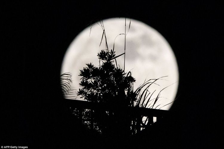 15 Foto Penampakan Supermoon yang Spektakuler dari Seluruh Dunia. Luar Biasa Indahnya!