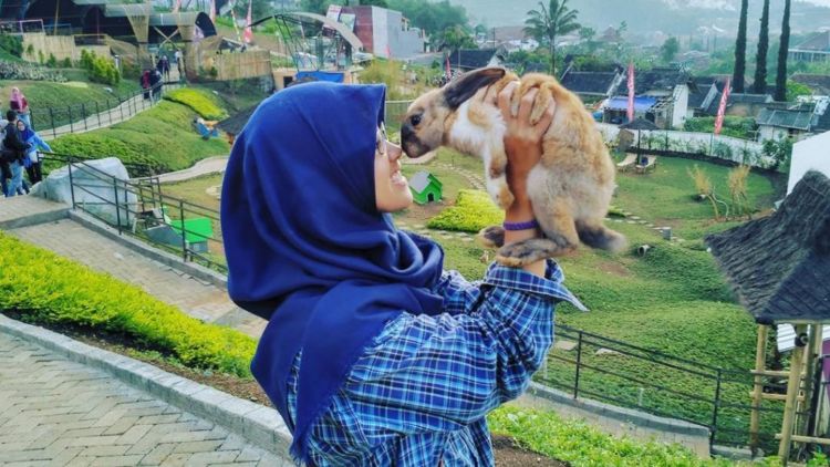 Taman Kelinci Malang, Destinasi Kekinian yang Hits Bagaikan Negeri Dongeng!