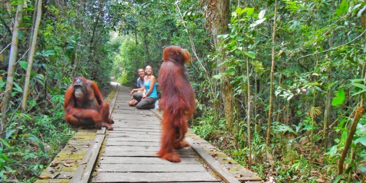 8 Aktivitas Wisata Ini Disukai Bule Saat Mengunjungi Indonesia. Unik dan Menarik Sih!