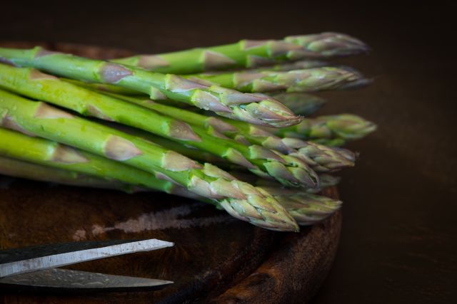 Tumbuhan Asparagus