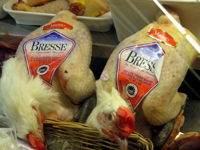 Penampakan Ayam Termahal di Dunia. Satu dari Indonesia, Satu dari Perancis, Harganya Gila-gilaan