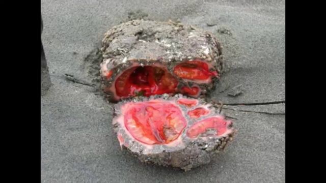 5+ Fenomena Alam yang Beneran Ada dan Ilmiah, Sayangnya Sering Dikira Hal Mistis
