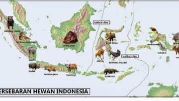 12 Hewan di Indonesia Ini Hampir Punah, Tapi di Mana Peran Generasi Milenial?