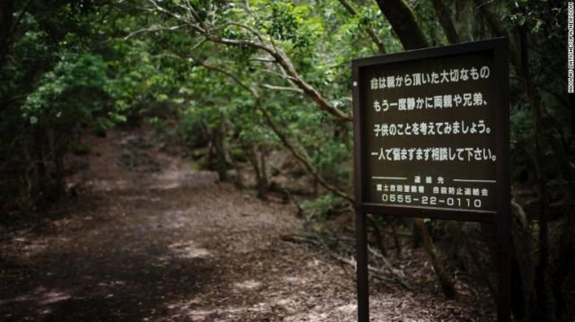 Lihat Lebih Dekat Hutan Aokigahara. Hutan yang Terkenal di Seluruh Jepang untuk Melakukan Bunuh Diri 9 Lihat Lebih Dekat Hutan Aokigahara. Hutan yang Terkenal di Seluruh Jepang untuk Melakukan Bunuh Diri