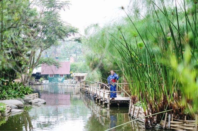 Kyotoku Floating Market, Destinasi Kekinian ala Jepang yang Bisa Kamu Nikmati di Lembang!