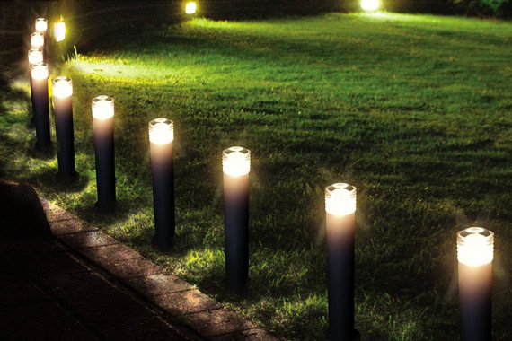 Masa Depan Udah di Depan Mata. Ilmuwan Baru Ciptakan Tanaman Bercahaya Pengganti Lampu Nih!