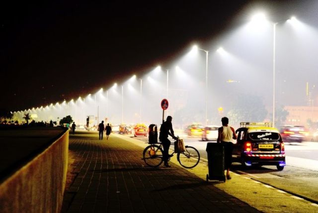 Masa Depan Udah di Depan Mata. Ilmuwan Baru Ciptakan Tanaman Bercahaya Pengganti Lampu Nih!