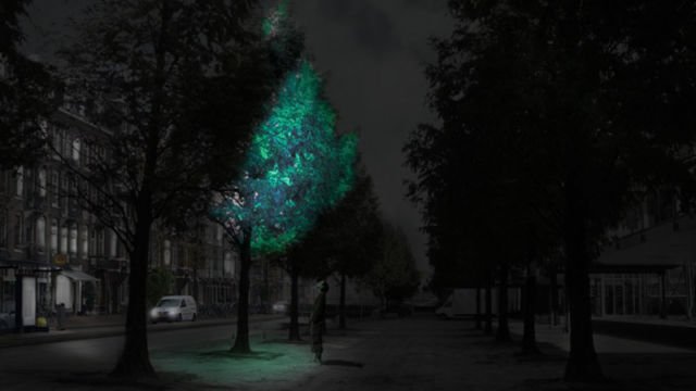 Masa Depan Udah di Depan Mata. Ilmuwan Baru Ciptakan Tanaman Bercahaya Pengganti Lampu Nih!
