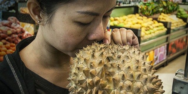 cara memilih durian