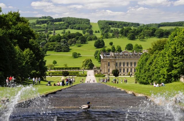 Discover EDENSOR
