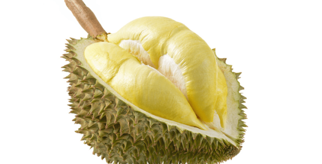 cara memilih durian yang manis dan tebal