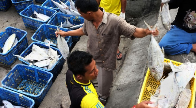 Poros Maritim, Tetapi Masih Impor Ikan