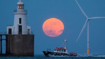 12+ Foto Super Blue Blood Moon yang Menakjubkan dari Seluruh Dunia! Nyesel yang Lewatin Begitu Aja