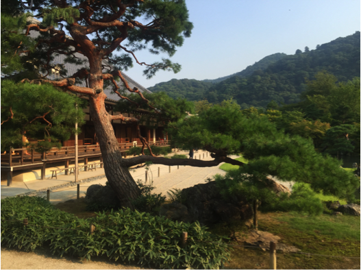 Keindahan Tersembunyi di Kyoto. Indah dan Selalu Nyaman.