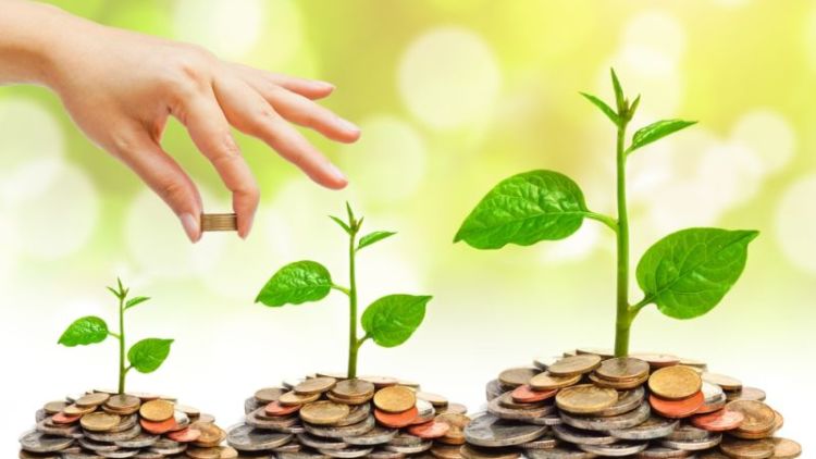 5 Instrumen Investasi yang Harus Kalian Ketahui Sejak Dini, Yuk Mulai Berinvestasi!