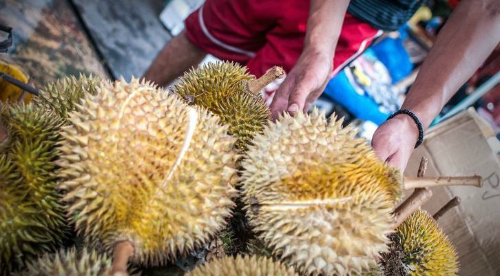 7 Cara Memilih Durian yang Bagus dan Manis