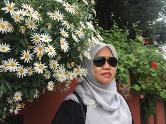 Kesehatan Dimulai dari Makanan