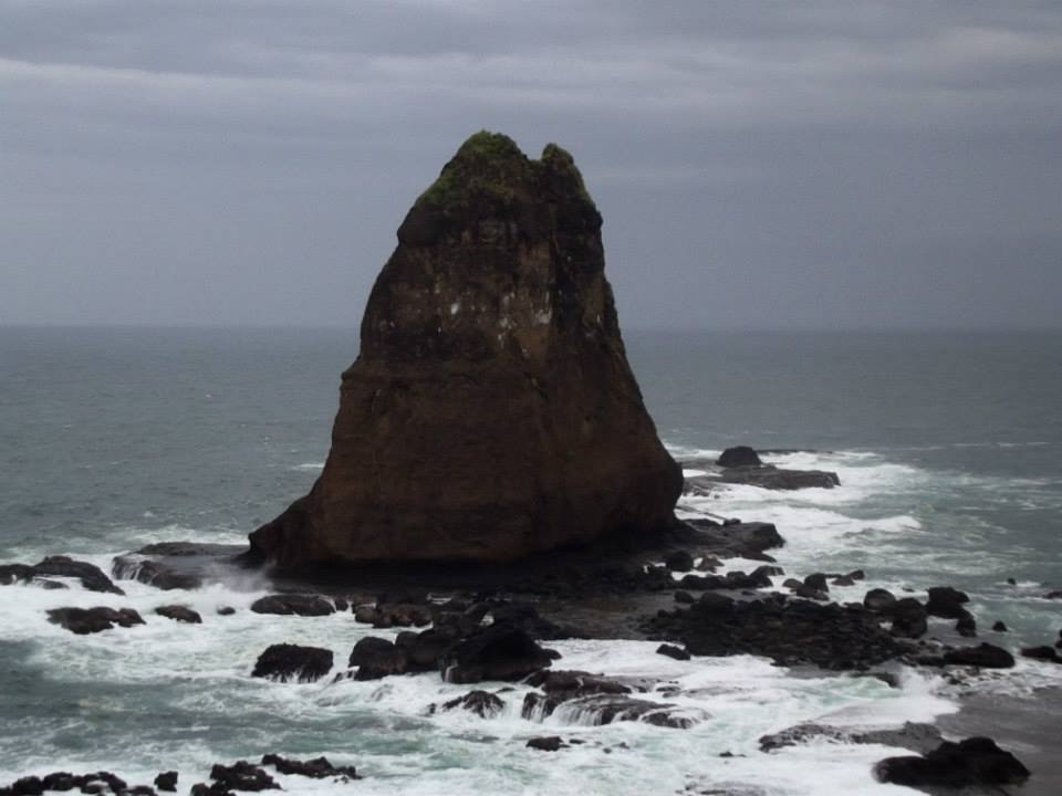 5 Pantai Paling Populer di Jember yang Wajib Kamu Kunjungi
