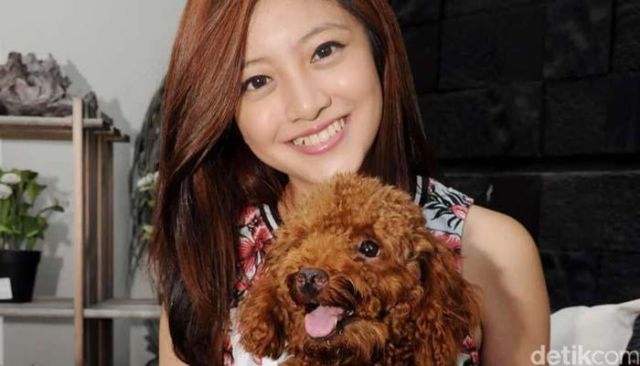 Pecinta Anjing