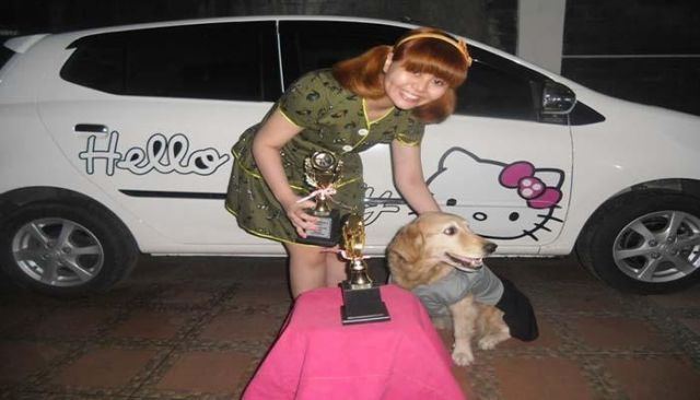Pecinta Anjing