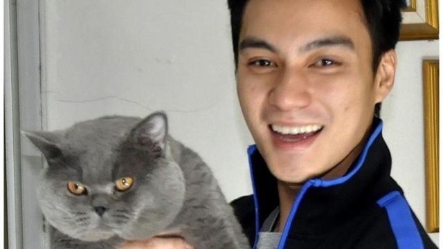 Pecinta Kucing