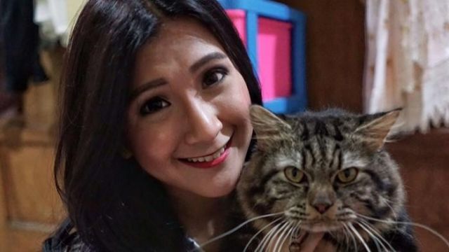 Pecinta Kucing