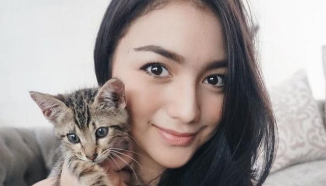 Pecinta Kucing