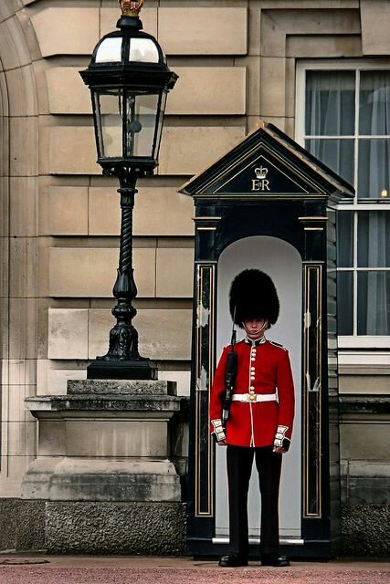 Guard at Buckingham Palace, Lodon UK