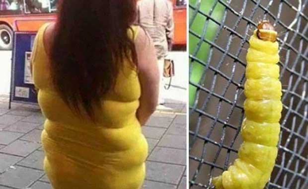 Begini Akibatnya Kalau Asal Beli Busana Mahal. Disamain dengan Benda-Benda Konyol Ini deh Jadinya~