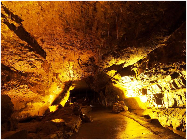 Dan-yr-Ogof Caves Wales