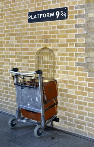 Harry Potter